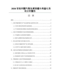 2026智能網(wǎng)聯(lián)汽車技術(shù)路線與商業(yè)化落地分析報(bào)告
