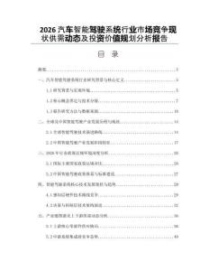 2026汽車智能駕駛系統行業市場競爭現狀供需動態及投資價值規劃分析報告