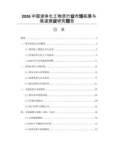 2026中國液體化工物流行業市場拓展與渠道建設研究報告