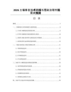 2026土壤修复技术路线与污染治理市场需求预测