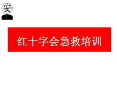 紅十字會急救培訓