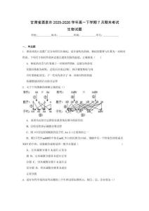 甘肅酒泉市2025-2026學年高一下學期7月期末考試生物試卷