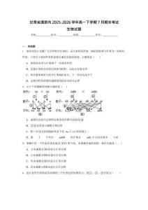 甘肅酒泉市2025-2026學年高一下學期7月期末考試生物試卷