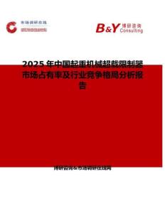 2025年中国起重机械超载限制器市场占有率及行业竞争格局分析报告