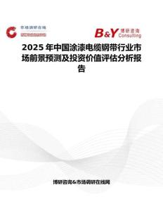 2025年中国涂漆电缆钢带行业市场前景预测及投资价值评估分析报告