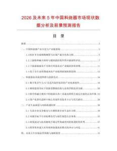 2026及未來5年中國料燒器市場現狀數據分析及前景預測報告