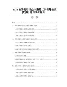2026能源儲(chǔ)存行業(yè)市場(chǎng)現(xiàn)狀供需導(dǎo)航投資設(shè)計(jì)規(guī)劃分析報(bào)告