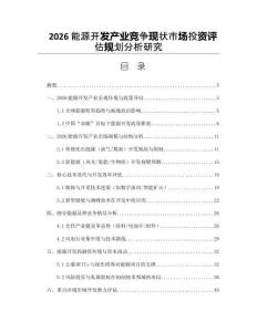 2026能源開發(fā)產(chǎn)業(yè)競(jìng)爭(zhēng)現(xiàn)狀市場(chǎng)投資評(píng)估規(guī)劃分析研究