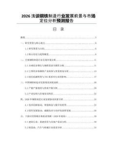 2026淺談鋼鐵制造行業發展前景與市場定位分析預測報告