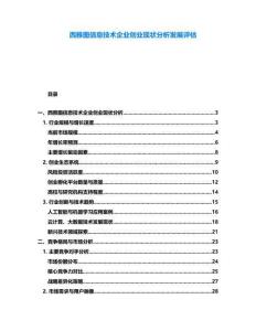 西雅图信息技术企业创业现状分析发展评估