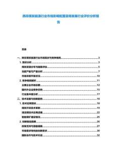 西非煤炭能源行業市場影響配置咨詢發展行業評價分析報告