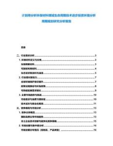 计划得分析环保材料领域生命周期技术进步投资环境分析周期规划研究分析报告