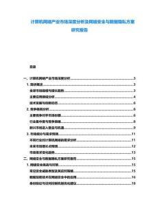 计算机网络产业市场深度分析及网络安全与数据隐私方案研究报告