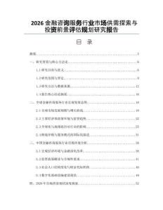 2026金融咨詢服務(wù)行業(yè)市場供需探索與投資前景評估規(guī)劃研究報(bào)告