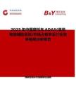2025年中国摩托车ADAS(高级驾驶辅助系统)市场占有率及行业竞争格局分析报告