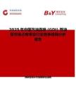 2025年中国汽油直喷 (GDI) 燃油泵市场占有率及行业竞争格局分析报告