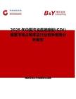 2025年中国汽油直接喷射(GDI)装置市场占有率及行业竞争格局分析报告
