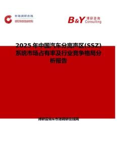 2025年中国汽车分离声区(SSZ)系统市场占有率及行业竞争格局分析报告