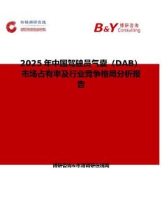 2025年中国驾驶员气囊（DAB）市场占有率及行业竞争格局分析报告