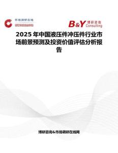 2025年中國液壓件沖壓件行業市場前景預測及投資價值評估分析報告