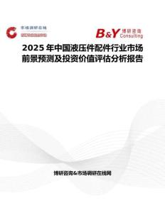 2025年中國液壓件配件行業市場前景預測及投資價值評估分析報告