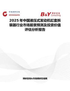 2025年中國液壓式發動機缸套拆裝器行業市場前景預測及投資價值評估分析報告