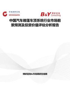 中国汽车敞篷车顶系统行业市场前景预测及投资价值评估分析报告