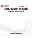 中国球状爆米花机行业市场规模及未来投资方向研究报告