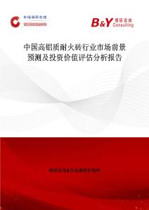 中國高鋁質耐火磚行業市場前景預測及投資價值評估分析報告