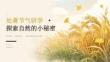 處暑節(jié)氣研學(xué) · 探索自然的小秘密