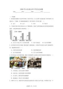 2026年山东泰安市中考历史试题（附答案解析）