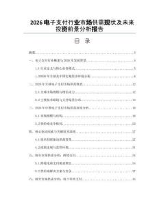 2026電子支付行業(yè)市場供需現(xiàn)狀及未來投資前景分析報告