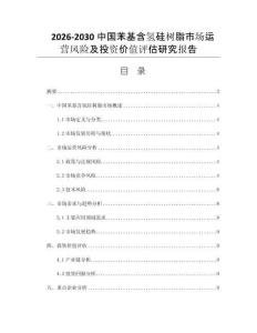 2026-2030中国苯基含氢硅树脂市场运营风险及投资价值评估研究报告