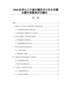 2026能源化工行業市場需求分析及投資運營拓展發展研究報告
