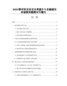 2026桥梁隧道建造技术进步与基础设施建设发展趋势研究报告