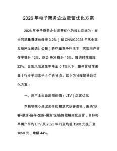 2026年电子商务企业运营优化方案