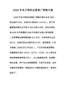 2026年电子商务运营推广策略方案