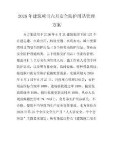2026年建筑项目六月安全防护用品管理方案