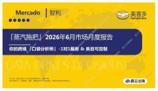 「蒸汽拖把」2026年6月市場月度報告  Mercado 智利