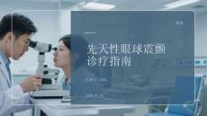 先天性眼球震颤诊疗指南(1)