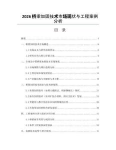 2026橋梁加固技術(shù)市場現(xiàn)狀與工程案例分析