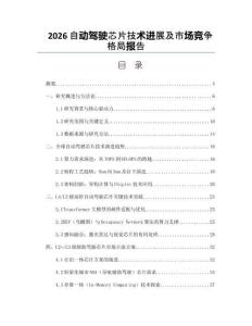 2026自動駕駛芯片技術進展及市場競爭格局報告