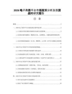 2026电子商务平台市场发展分析及投资战略研究报告