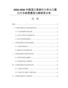 2026-2030中国浸渍清漆行业市场发展趋势与前景展望战略研究报告