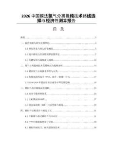 2026中國膜法氫氣分離提純技術路線選擇與經濟性測算報告