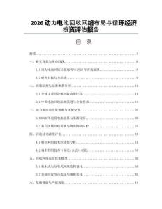 2026动力电池回收网络布局与循环经济投资评估报告