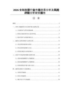 2026金融融資行業市場供需分析及風險評級分析研究報告
