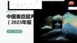 中国重症超声指南（2023年版）