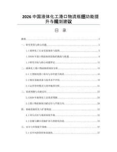 2026中国液体化工港口物流枢纽功能提升与规划建议