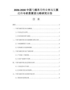2026-2030中国马桶吊带行业市场发展趋势与前景展望战略研究报告